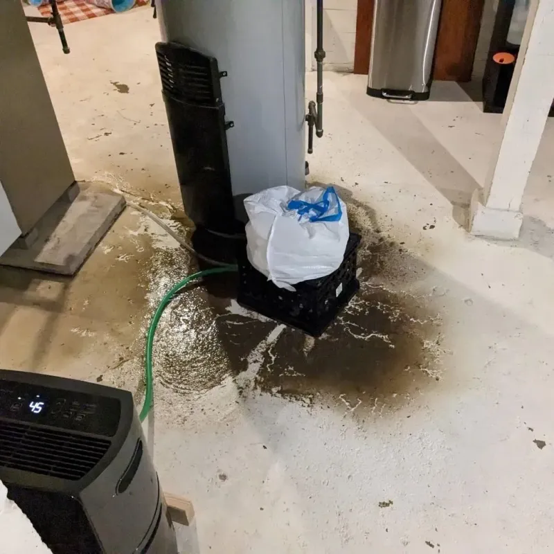 Sewage Backup Cleanup Service in Altamont, TN